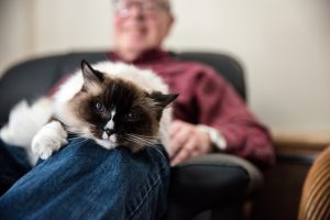 Resident kitty “Ookie”